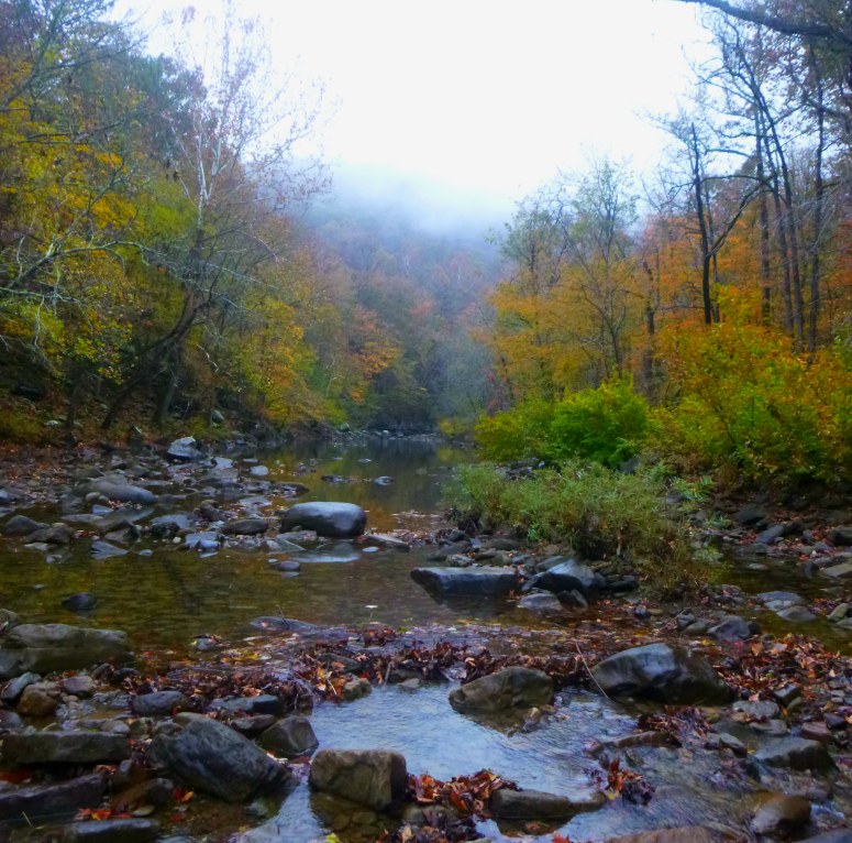 Creek in the Mist on OHT